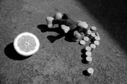 15th Feb 2014 - Vitamin C Overdose