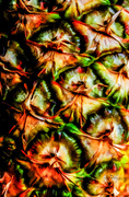 14th Feb 2014 - Pineapple Detail