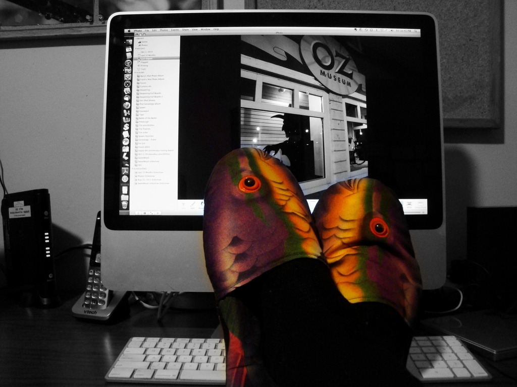 The fish slippers help to choose photos by mcsiegle