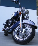 15th Feb 2014 - "2009 Harley-Davidson Heritage Softail"..