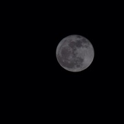 15th Feb 2014 - Moon