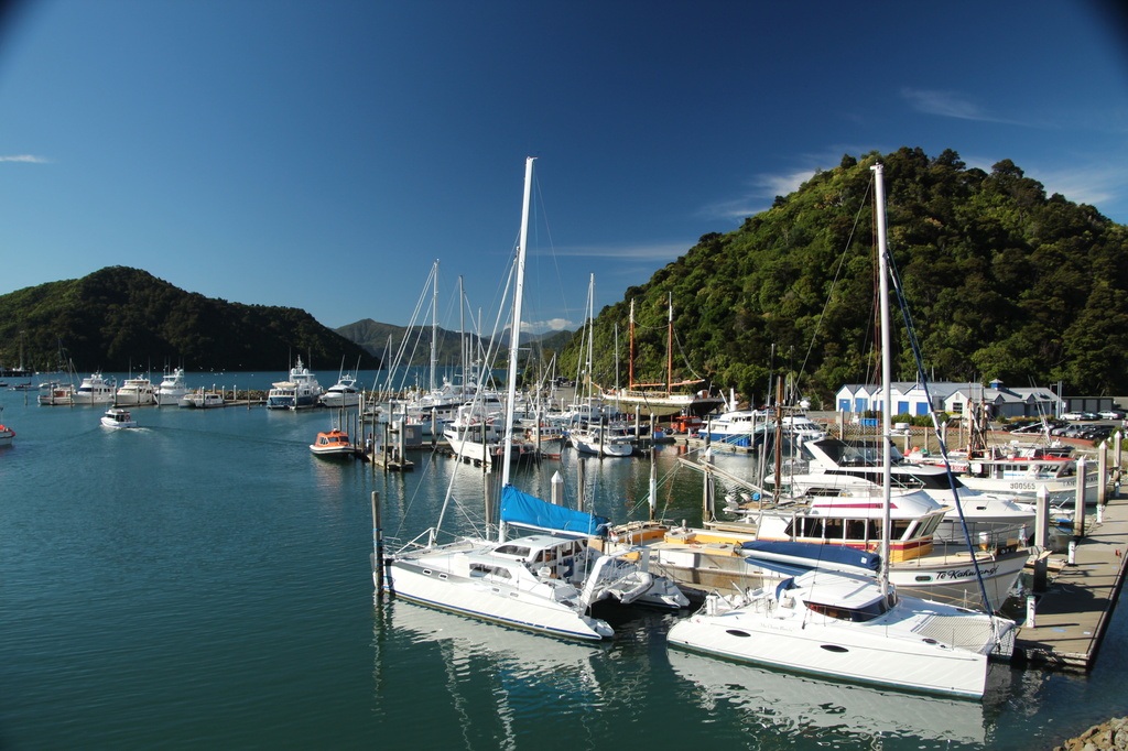 Picton Harbour by busylady