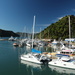 Picton Harbour by busylady