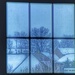 Out my Window by sbolden