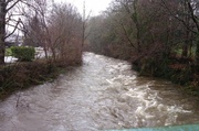 14th Feb 2014 - River Tavy after storms