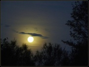 16th Feb 2014 - Full Moon