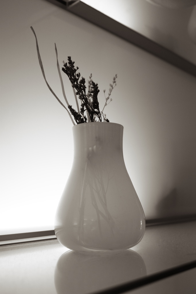 vase by blueberry1222