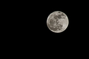 15th Feb 2014 - Full Moon - Last Night