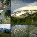 Collage Mt Rainier by jankoos