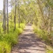 pathway by corymbia