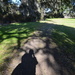 My shadow portrait, Magnolia Gardens by congaree
