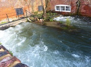 16th Feb 2014 - the River Itchen in full flow.....