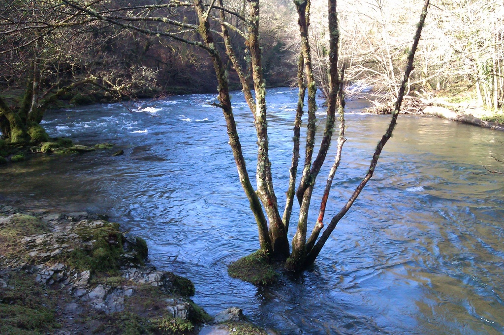 Where the Tavy meets the Walkham by jennymdennis
