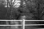 9th Mar 2014 - Swollen river at Barford