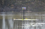 19th Mar 2014 - Floods 2