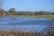 27th Mar 2014 - A flooded field