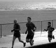 8th Feb 2014 - Runners 