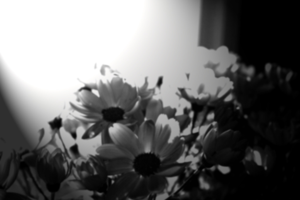 Flowers  by nanderson