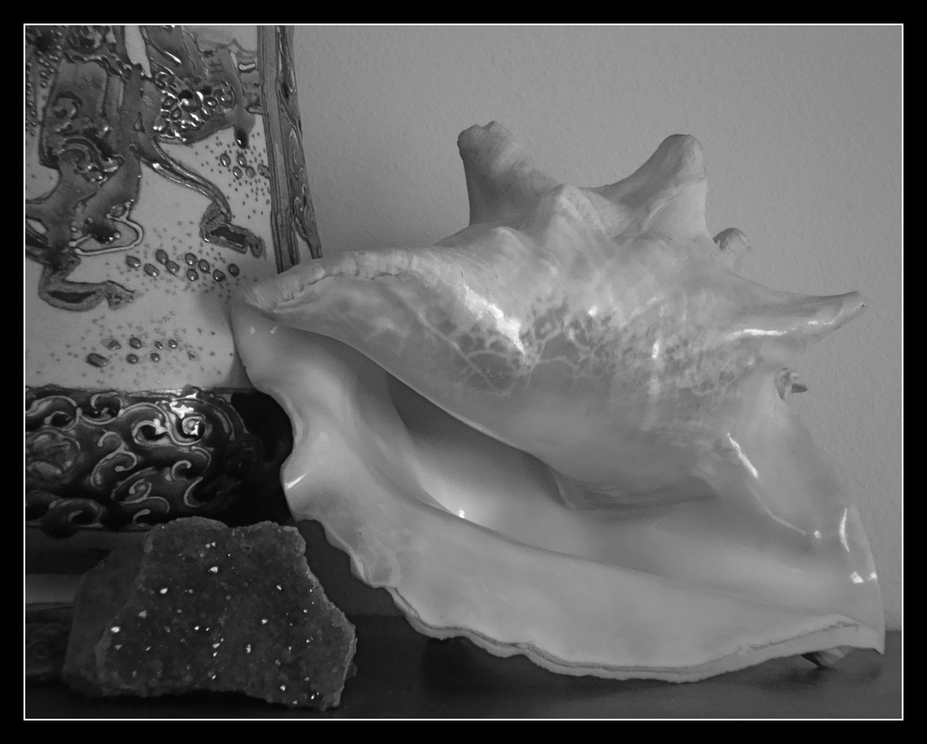 Shell, Amethyst, Chinese vase by mcsiegle