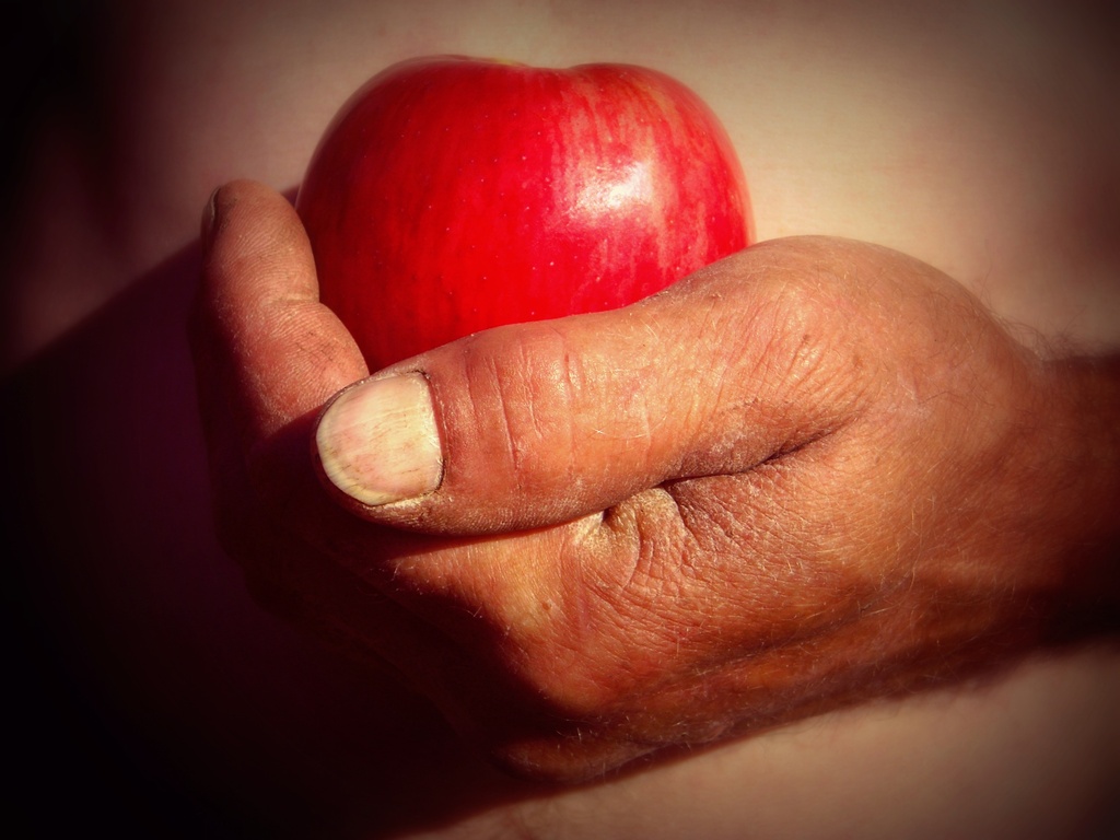 The working hand bears the fruits by wenbow