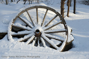 16th Feb 2014 - Snowy wheel