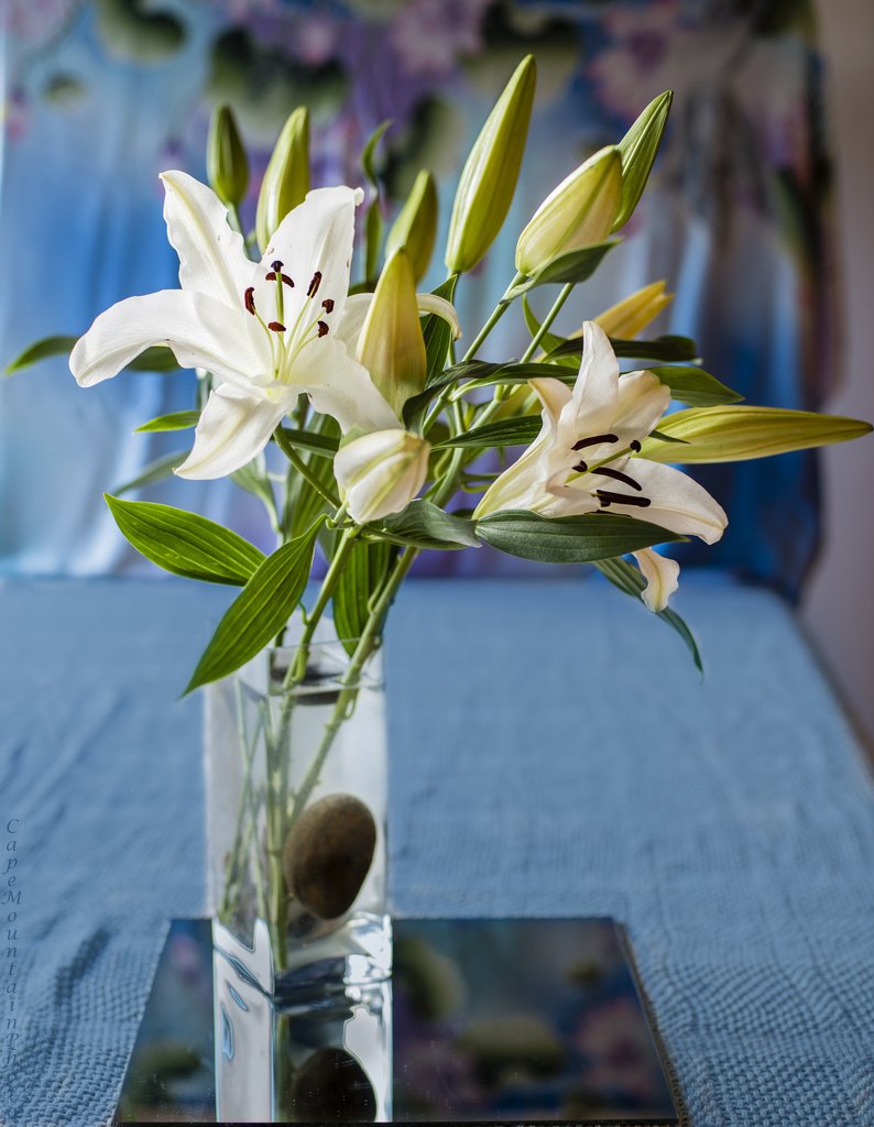 Lilies In the Dining Room by jgpittenger