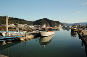 17th Feb 2014 - Another view of Picton Harbour