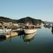 Another view of Picton Harbour by busylady