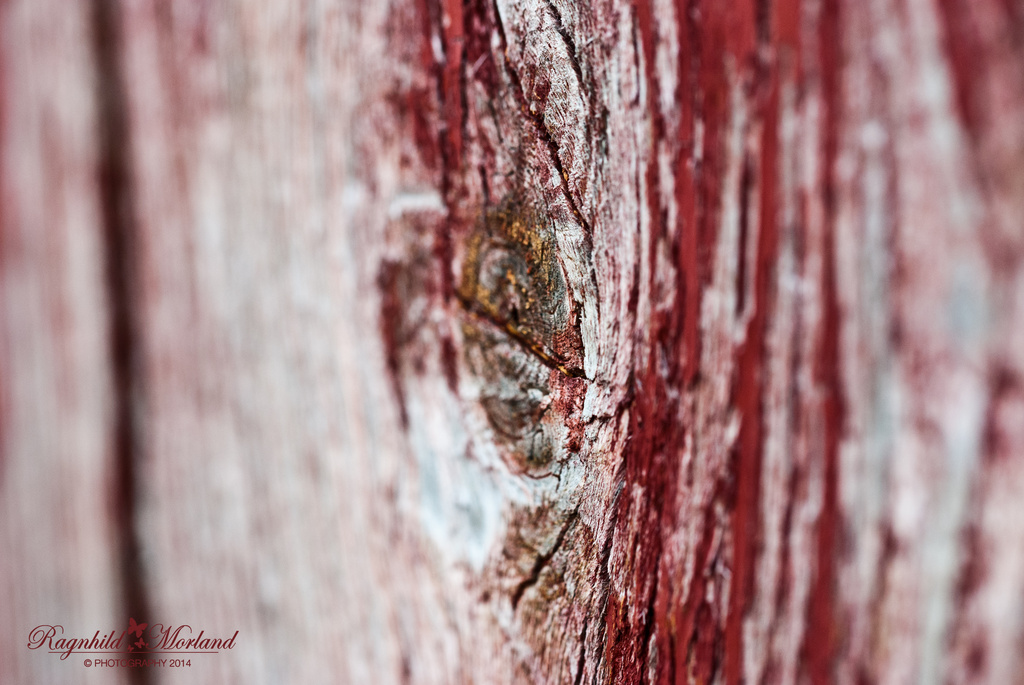 Eye in the Wall by ragnhildmorland
