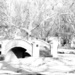 Wintry Bridge by daisymiller