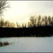 A Morning in Winter by olivetreeann
