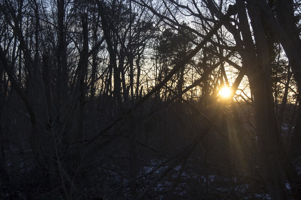 Sunset through the Woods by hjbenson