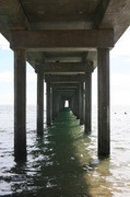 17th Feb 2014 - under the jetty