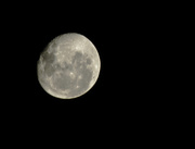 16th Feb 2014 - The Moon