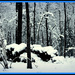 Snow covered woodpile by vernabeth