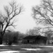 Country Living in the Winter by genealogygenie