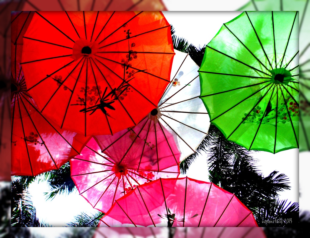 parasol ou parapluie by summerfield
