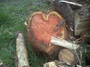 18th Feb 2014 - Wooden heart