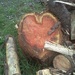 Wooden heart by pandorasecho