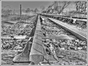 19th Feb 2014 - End Of The Line