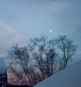 17th Feb 2014 - Morning moon