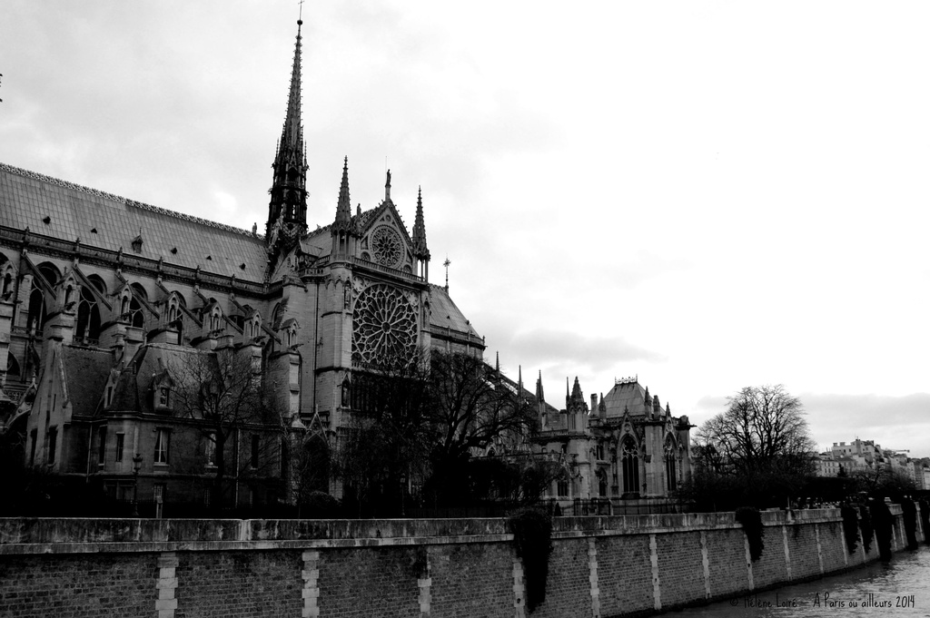 Notre Dame de Paris by parisouailleurs