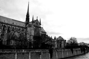 17th Feb 2014 - Notre Dame de Paris