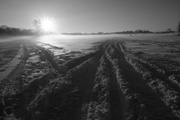 19th Feb 2014 - Morning Medicine Lake