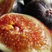 figs by shannejw