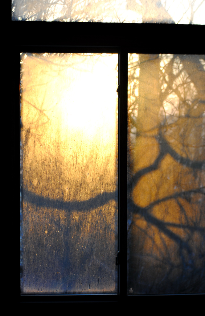 Golden Dawn in the Window Condensation by alophoto