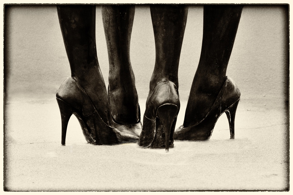 Four legs by bella_ss