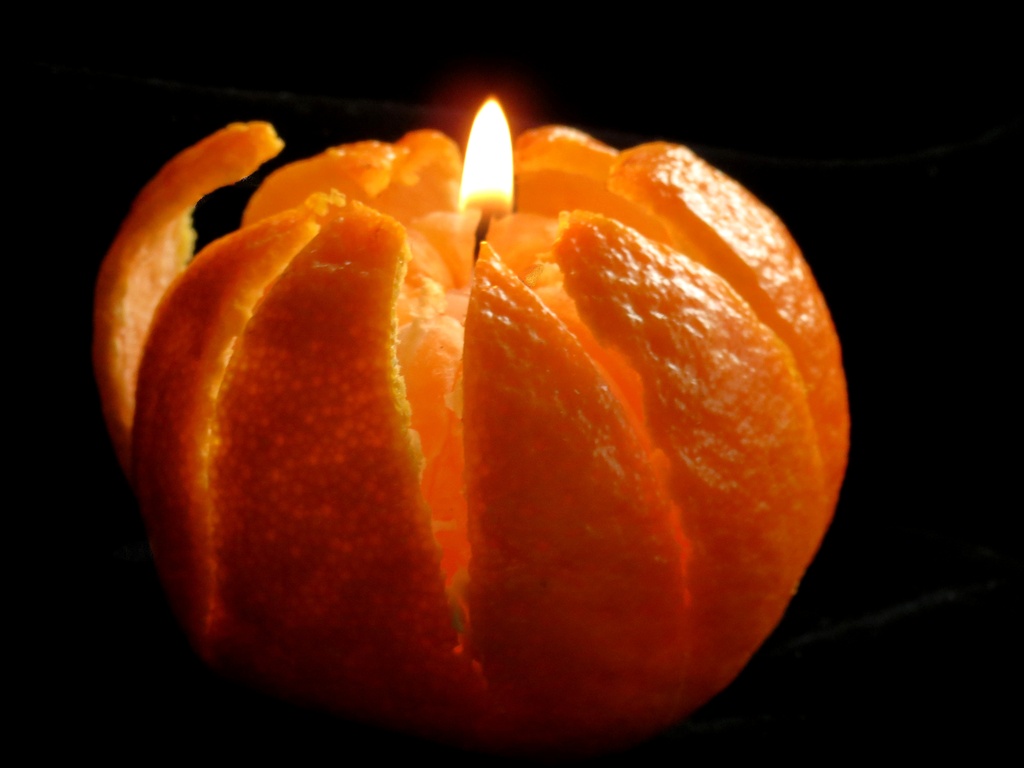 Orange Food by grammyn