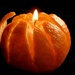 Orange Food by grammyn