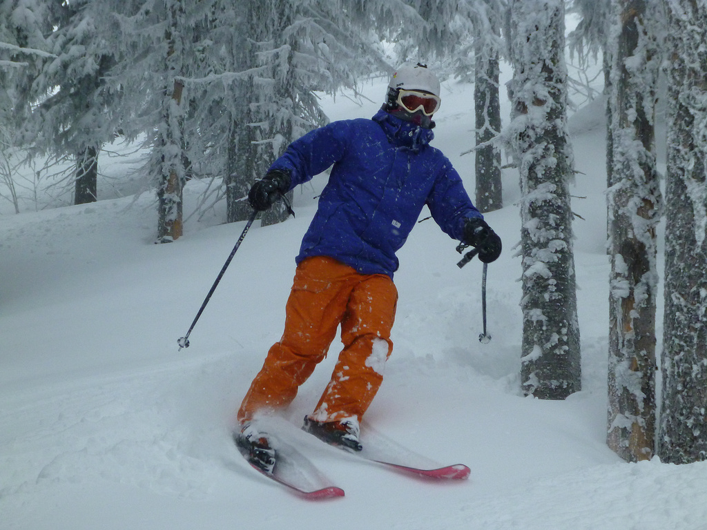 Tree Skiing by jawere